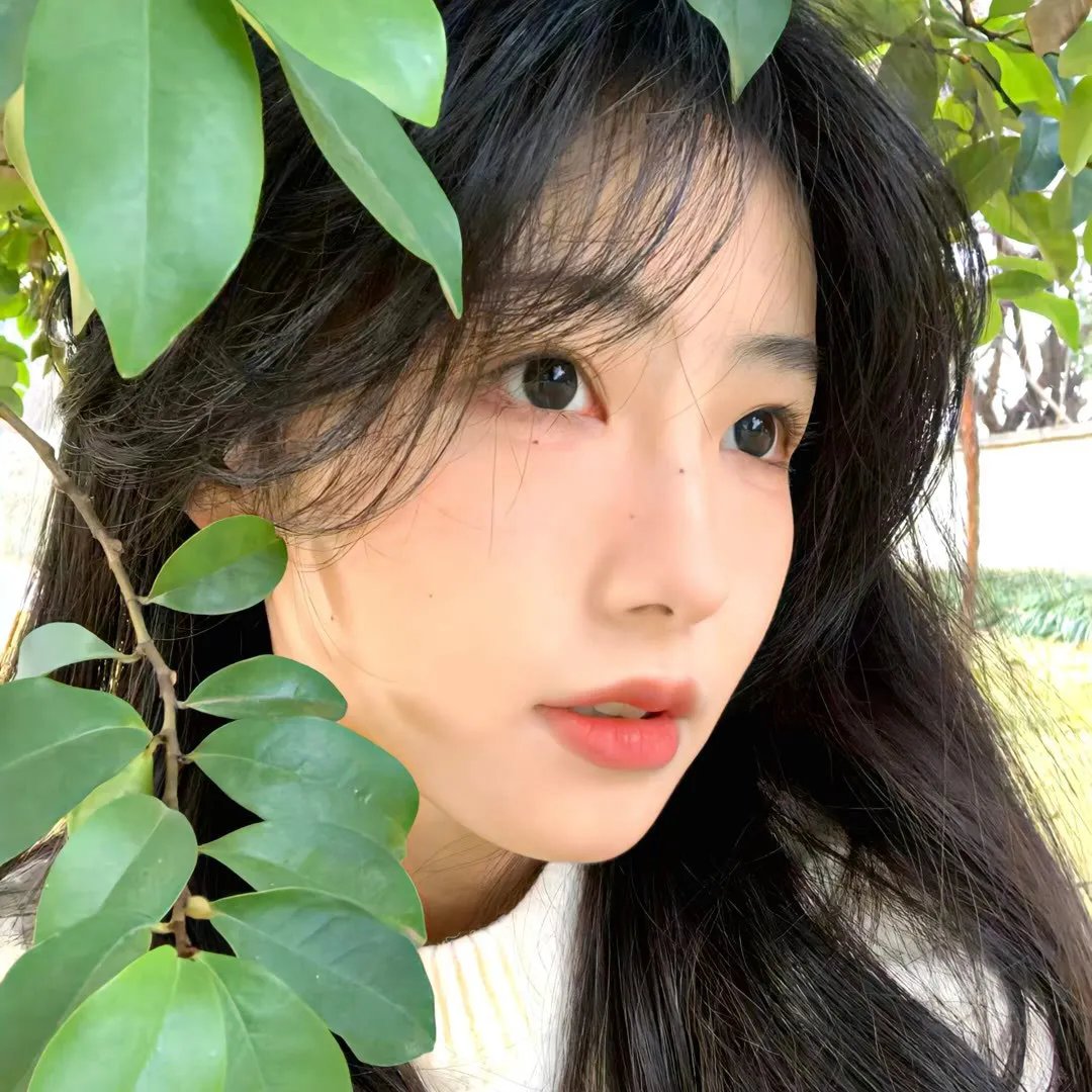 美女与怪物